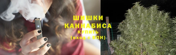 хмурый Бронницы
