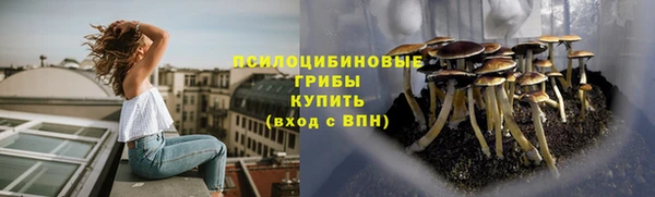 spice Бугульма