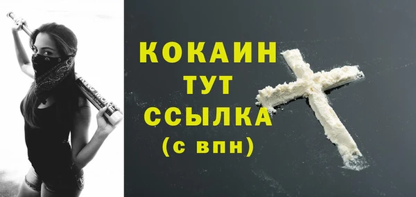 хмурый Бронницы
