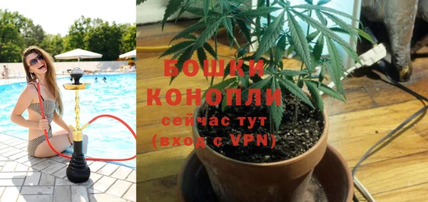spice Бугульма