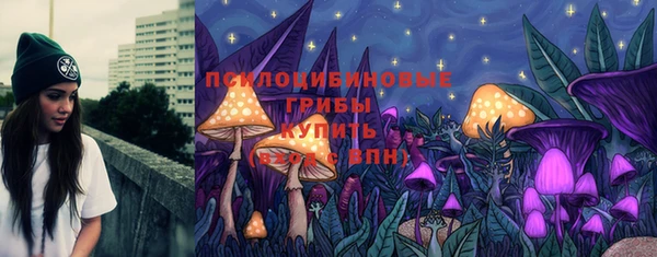 spice Бугульма