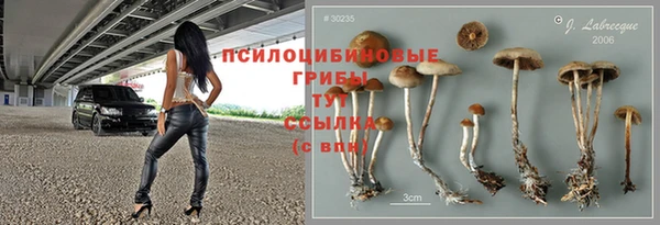 spice Бугульма