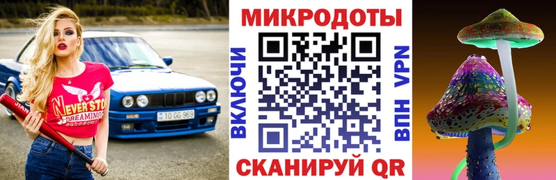 Купить Дюртюли Галлюциногенные грибы Psilocybe